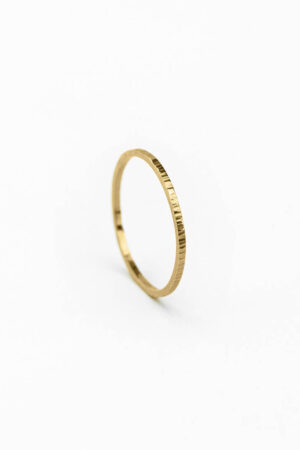 Bague HIERBA 01