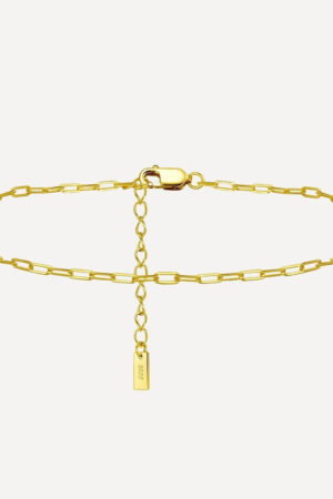 Deluxe Chain Collection No. 5 ankelk?de